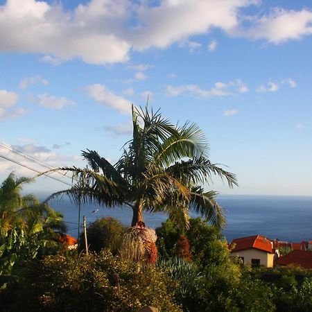 Lugar Dos Louros 2 Daire Estreito Da Calheta Dış mekan fotoğraf