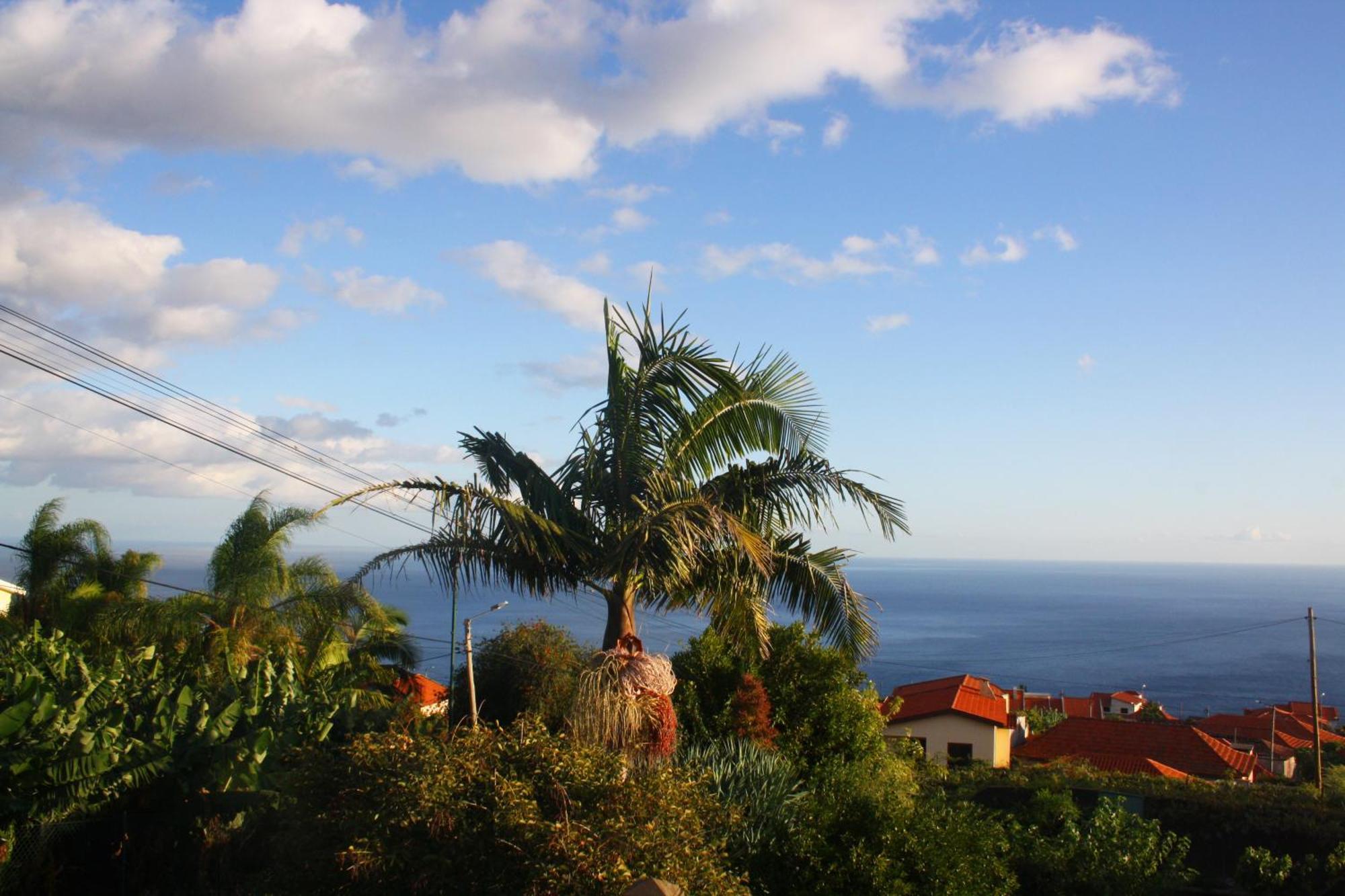 Lugar Dos Louros 2 Daire Estreito Da Calheta Dış mekan fotoğraf