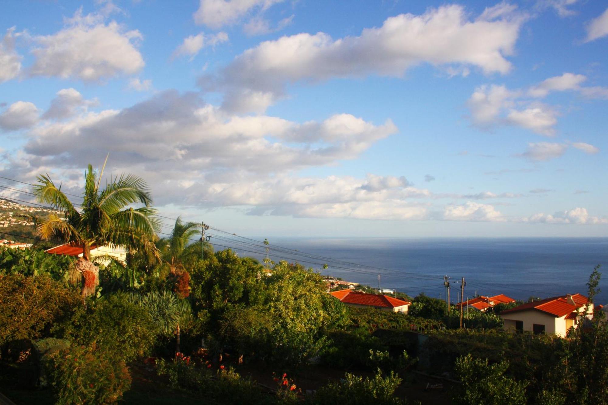 Lugar Dos Louros 2 Daire Estreito Da Calheta Dış mekan fotoğraf