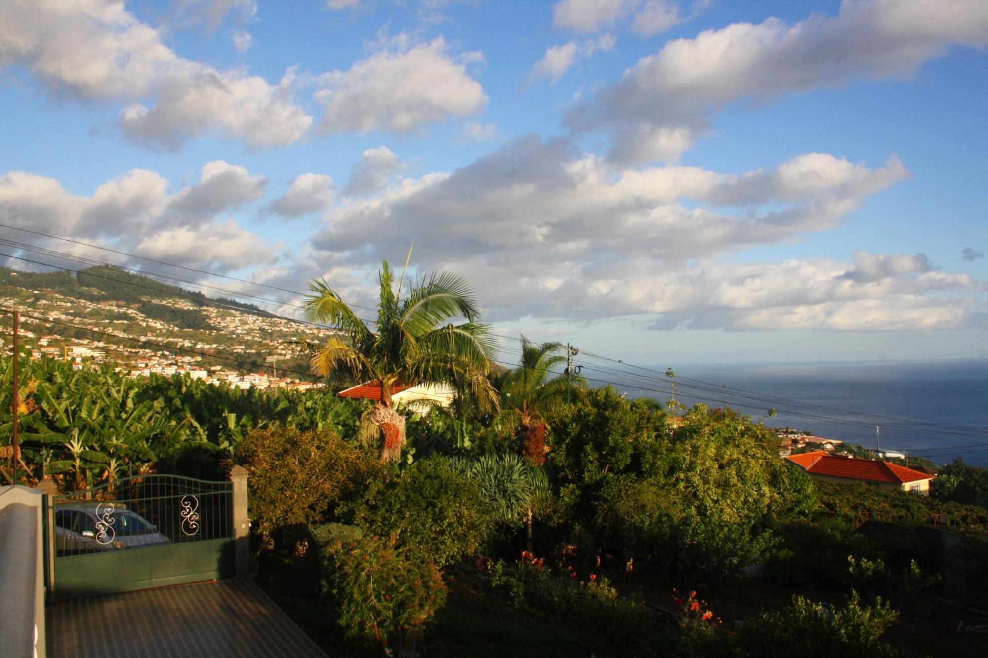 Lugar Dos Louros 2 Daire Estreito Da Calheta Dış mekan fotoğraf