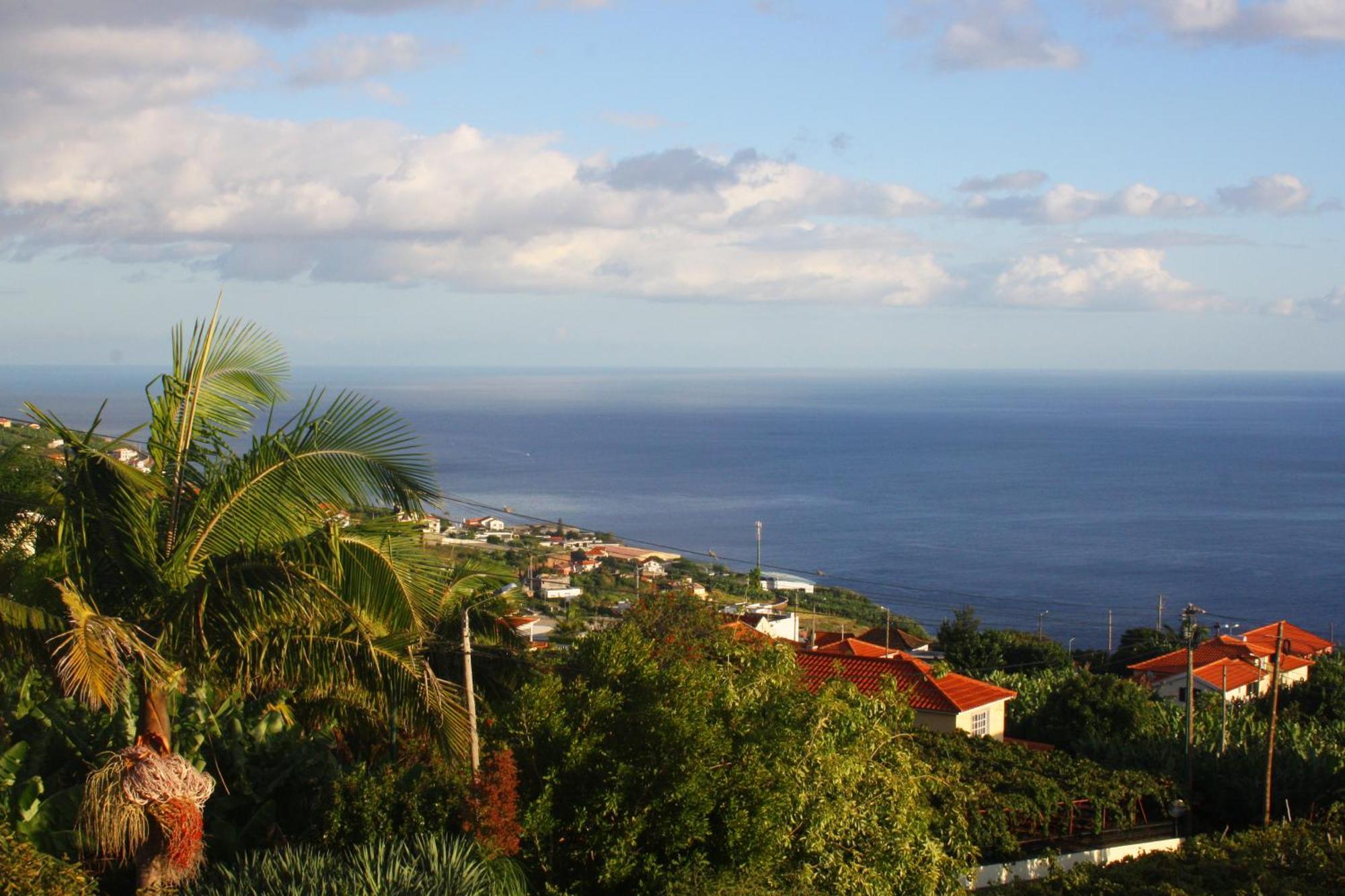 Lugar Dos Louros 2 Daire Estreito Da Calheta Dış mekan fotoğraf