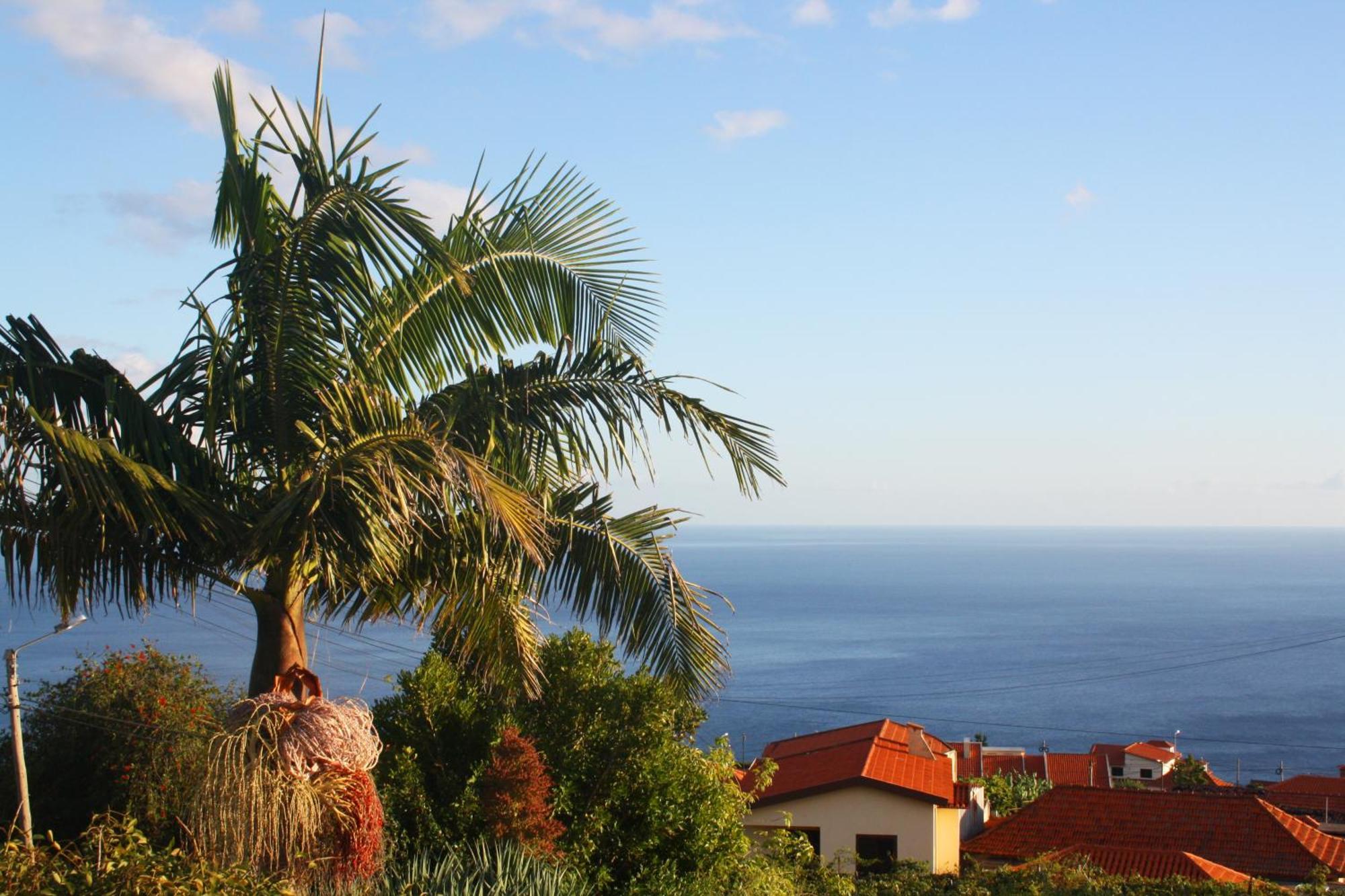 Lugar Dos Louros 2 Daire Estreito Da Calheta Dış mekan fotoğraf